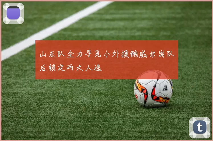 山东队全力寻觅小外援鲍威尔离队后锁定两大人选