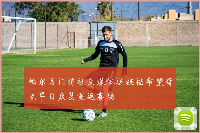 帕尔马门将社交媒体送祝福希望奇克早日康复重返赛场