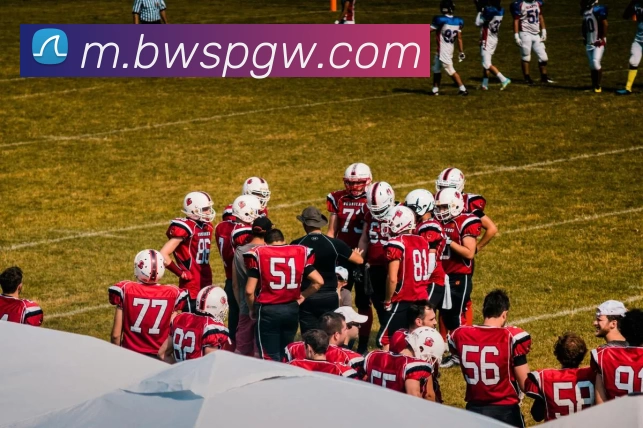 宝威体育官网服务体系